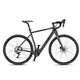 Gravel E-Bike 4EVER ENGRAVE PRO 28” - titan/hologram - titan/metal gold