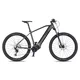 Mountain E-Bike 4EVER Exstream PRO 820Wh 29” – 2025 - grey diamond/silver - grey diamond/silver