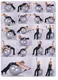 Gymball inSPORTline Magic Ball