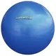 55cm Gymnastic Ball - Blue