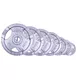 Olympic Cast Iron Plate inSPORTline Hamerton 2.5 kg 50 mm