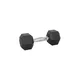 Hex Dumbbell inSPORTline Hexsteel 15 kg