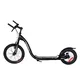 WORKER Glacer Scooter 16" and 12"