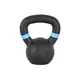 Cast Iron Kettlebell inSPORTline Powder 6 kg