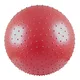 55cm Gymnastic and Massage Ball - Red