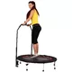 Jumping Fitness Trampoline with Handlebar inSPORTline PROFI Digital 140 cm