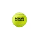 Tennis Balls Wilson RG All Court (4-Pack)