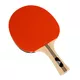 Table tennis racquet Adidas Champ