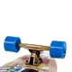 Longboard Spokey Pin-up
