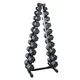 Dumbbell Rack inSPORTline Ratus, 20 Positions