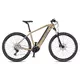 Mountain E-Bike 4EVER Esword Team M510 29” - chameleon/hologram - Sand/Metal Silver