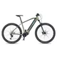 Mountain E-Bike 4EVER Exstream PRO 820Wh 29” – 2025 - grey diamond/silver - snake green/hologram