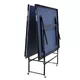 InSPORTline MOVE Table Tennis Table