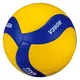 Volleyball Mikasa V390W