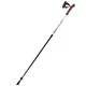Leki Supreme Nordic Walking poles